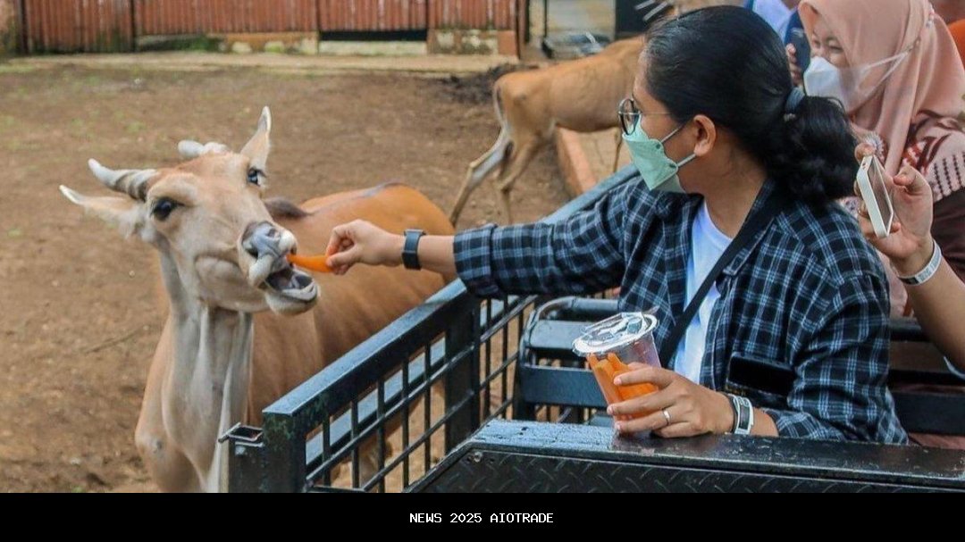 Harga Tiket Jatim Park 2 2025 Terbaru