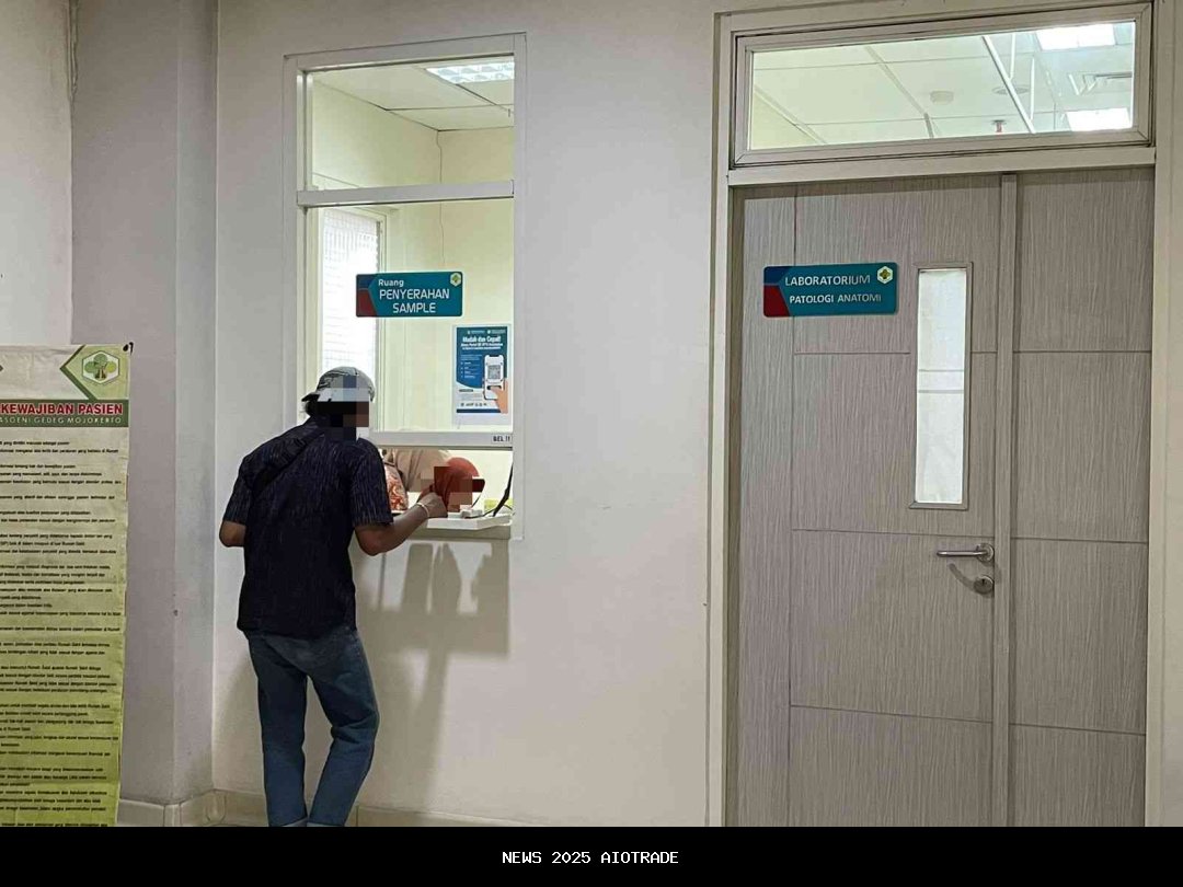 Kecepatan vs Kejelasan: Dilema Komunikasi Laboratorium