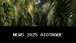 Ahli ITB: Kebun Sawit Tak Bisa Gantikan Fungsi Hutan!