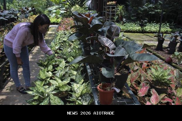 Bandung hingga Bekasi catat kualitas udara terbersih, waktunya aktivitas di luar