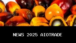 Akhir Perdagangan, Kejutan! Saham Sawit Jadi Target Utama Investor