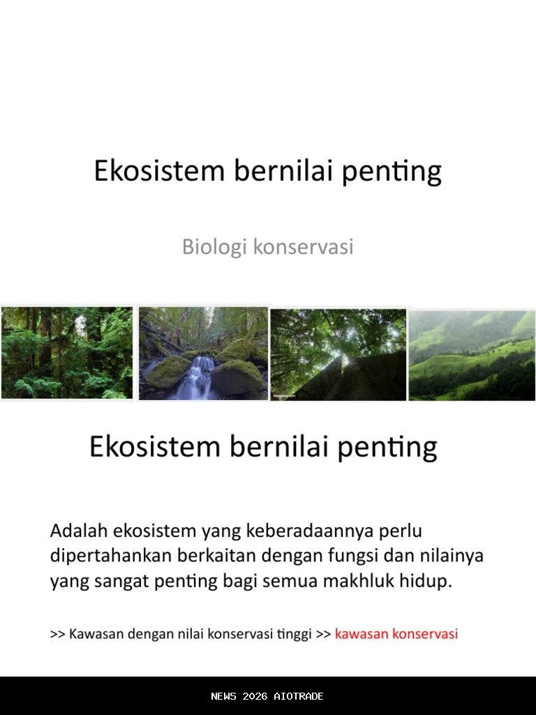 Mengapa Layanan Ekosistem Penting bagi Ekonomi, Budaya, dan Kehidupan Manusia?