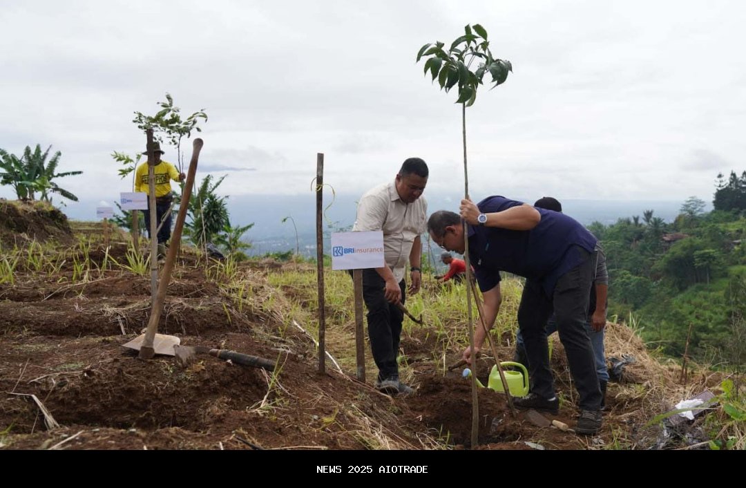Tanam 50.000 Bibit Nilam Dorong Ekonomi Hijau dan Konservasi di Bogor