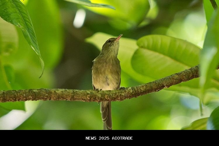 Mengapa Burung Terbang ke Arah yang Salah?