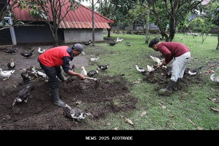 Membangun Ekonomi Sirkular dari Dapur MBG