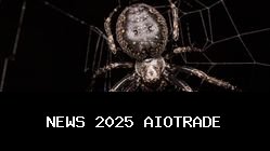 Labah-Labah di Rumah: Bahaya atau Teman? Pentingnya bagi Ekosistem Rumah