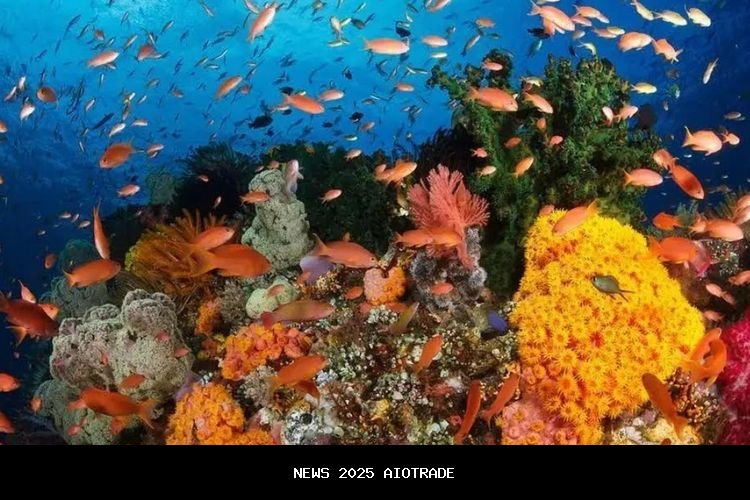 5 Destinasi Wisata Favorit di Manado yang Harus Dikunjungi