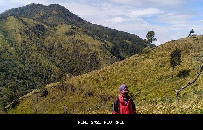 Lokasi Dekat Jakarta, Itinerary Tektok Gunung Pulosari dengan Budget Rp 540 Ribu untuk 4 Orang