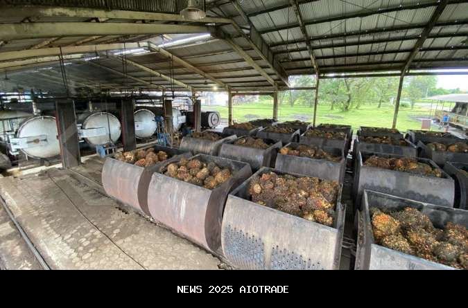 Kinerja AALI Diperkirakan Tumbuh hingga Akhir 2025