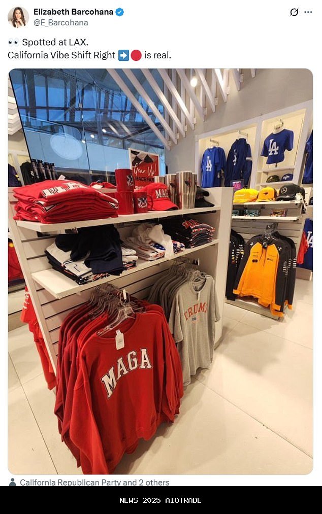 Konservatif bersuka cita saat 'Barang mengejutkan muncul di bandara utama kota Biru'