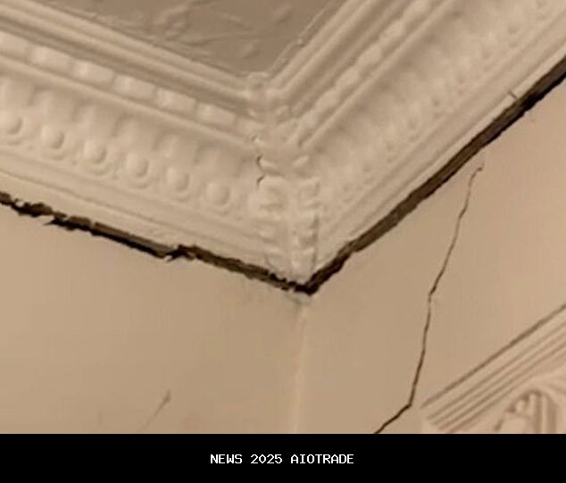 Ben dan Dino berpikir mereka telah menemukan sewa yang sempurna ... lalu mereka diberi 24 jam untuk 