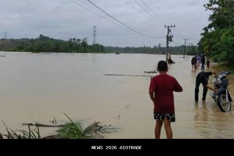 Kerugian Perikanan Aceh Timur Capai Rp 2,64 Triliun Akibat Banjir Bandang