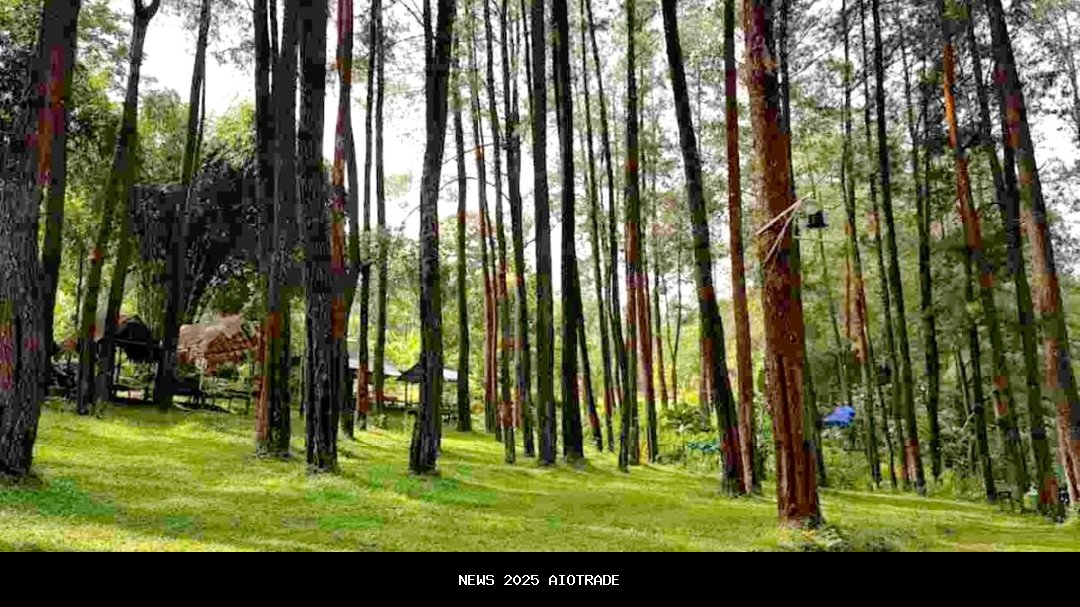 8 Destinasi Akhir Pekan di Madiun 2025, Pas untuk Liburan Bersama Kekasih