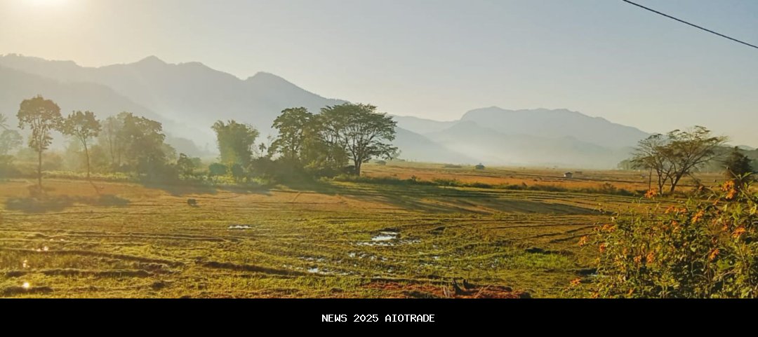 Persawahan Wunas, Surga Alam Manggarai Timur yang Menenangkan