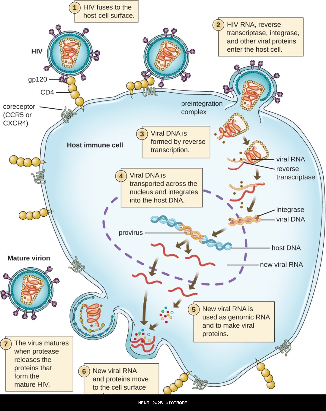 Viral Dugaan Selingkuh Bupati Majalengka, Eman Bentuk Tim Investigasi dan Ancam Sanksi Tegas