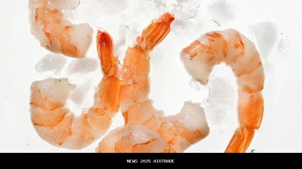 Udang Beku Indonesia Terkontaminasi Radioaktif, Sumber Kontaminasi Dimana?