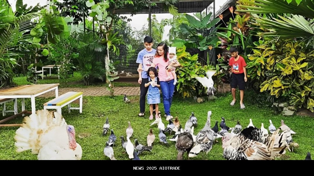 Mengunjungi Mini Zoo Tersembunyi di Malang: Edukasi, Murah, dan Menyenangkan!