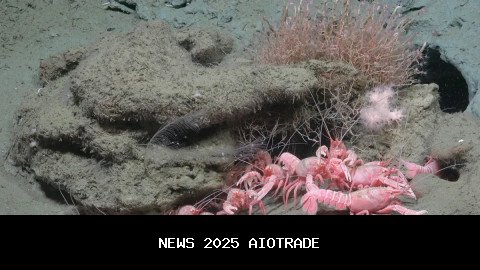 Ekspedisi Laut dalam 3.500 Meter Penuh Makhluk Aneh