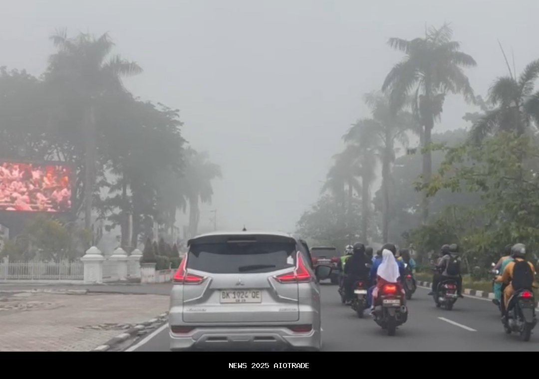 Kabut Tebal Pekanbaru, Jarak Pandang Menurun, BMKG Beri Penjelasan