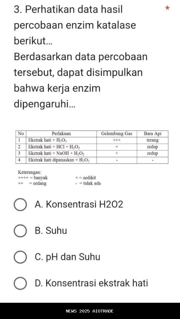 Hasil Liga Nusantara: RANS Bantu Persikutim United Tenggelam di Dasar Grup C