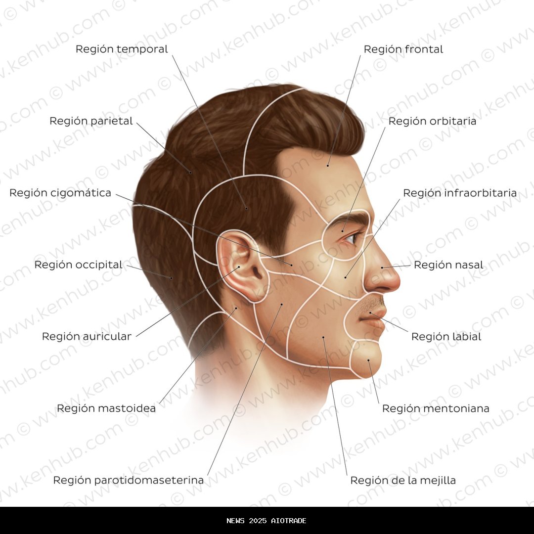 Cara menghapus akun Gmail permanen dengan cepat dan mudah via HP dan laptop
