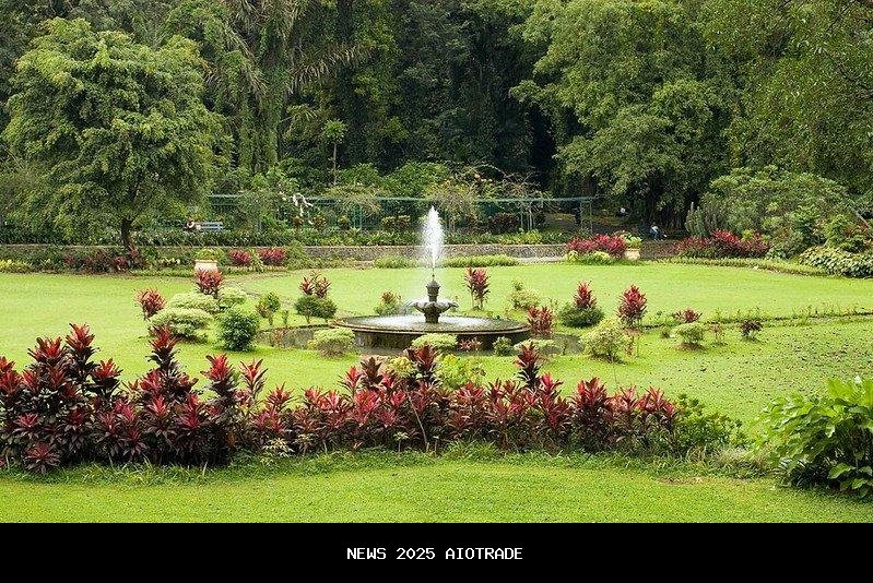 3 Destinasi Wisata Populer di Bogor untuk Liburan Natal dan Tahun Baru 2026