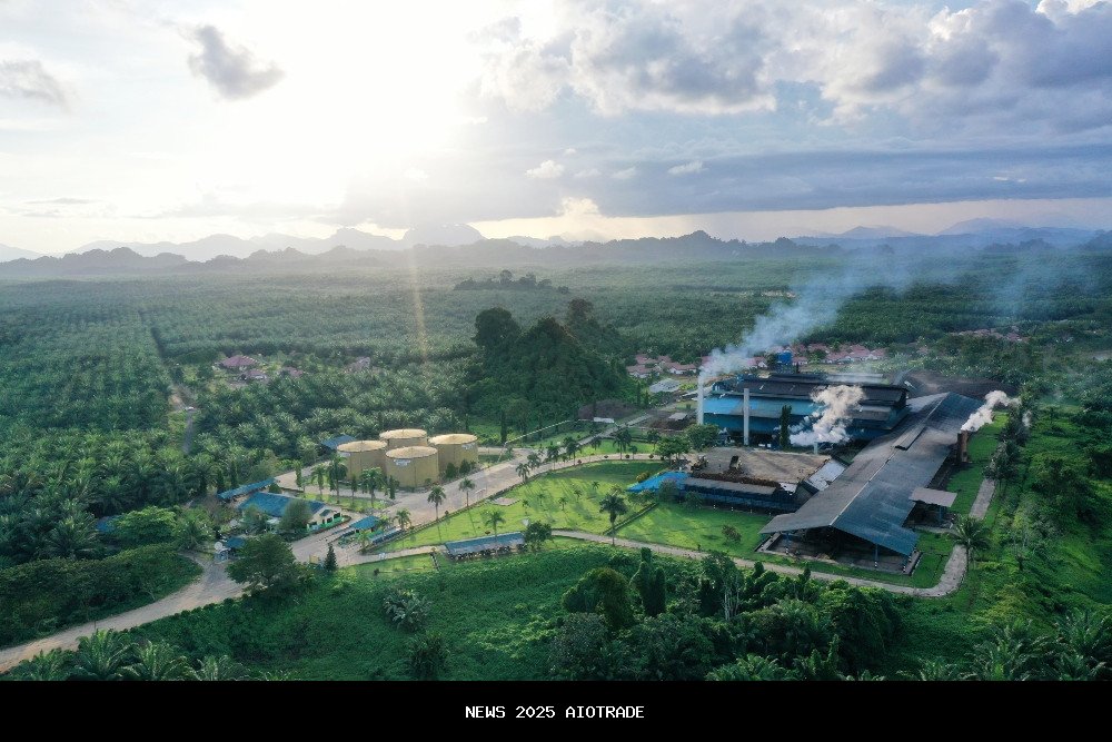 Suspensi Dicabut, Saham BWPT Peter Sondakh Kembali Hijau