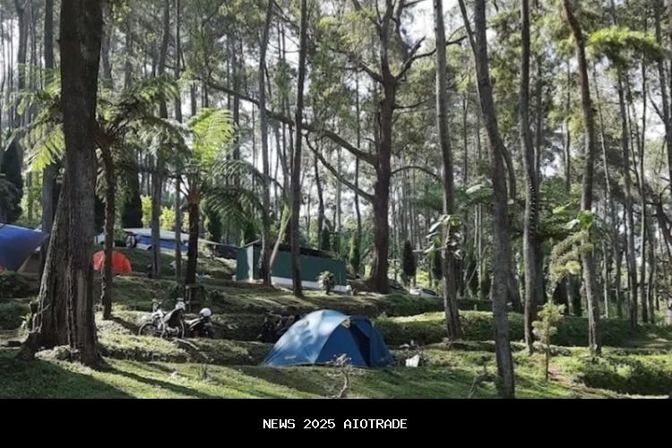 Tiga destinasi alam di Malang ini mudah dikunjungi, ideal untuk liburan singkat dan refresing pikira