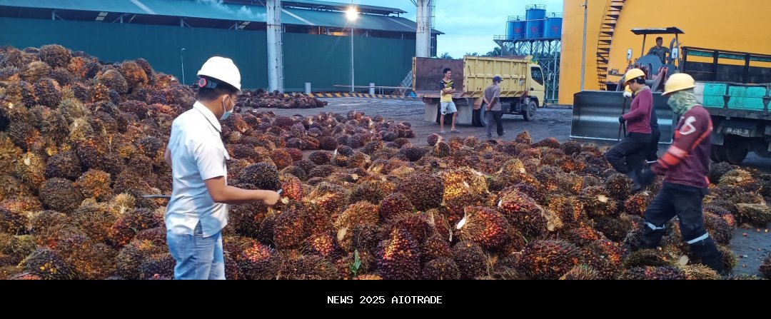 Usaha Sawit Ramah Lingkungan Ciptakan Lapangan Kerja di Belitung Timur
