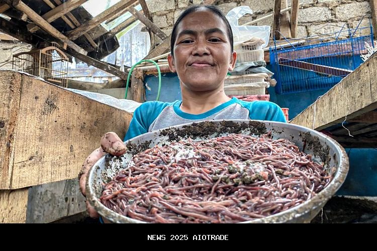 Mencari Keuntungan dari Kotoran Sapi, Cacing Jadi Mesin Pencetak Uang