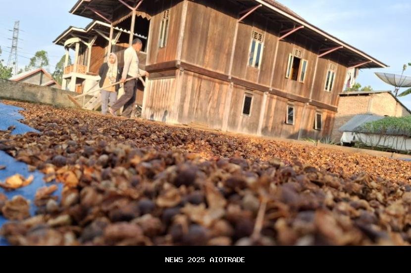 Lampung Perkuat Strategi Perkebunan untuk Tingkatkan Ekonomi