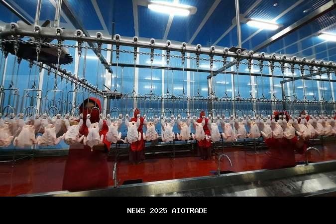 Strategi Efisiensi, WMUU Raih Laba Bersih Rp 505 Miliar