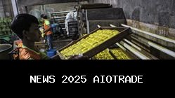 Ekonom: Tantangan RI Bukan Mengentaskan Kemiskinan, Tapi Menjaga Kesejahteraan Kelas Menengah