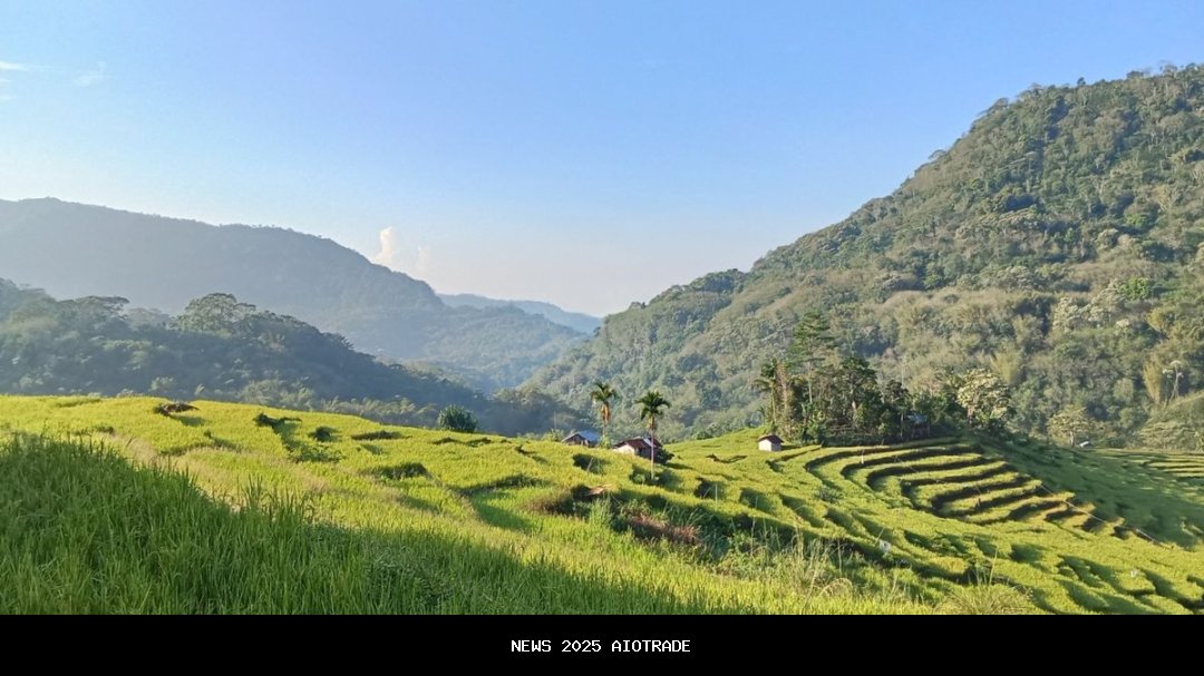 Persawahan Wunas, Surga Alam Manggarai Timur yang Menenangkan