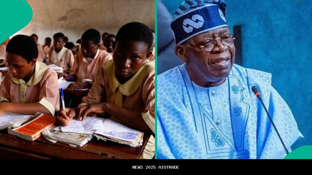 Siswa Nigeria akan belajar AI dan pemrograman di bawah kurikulum sekolah baru