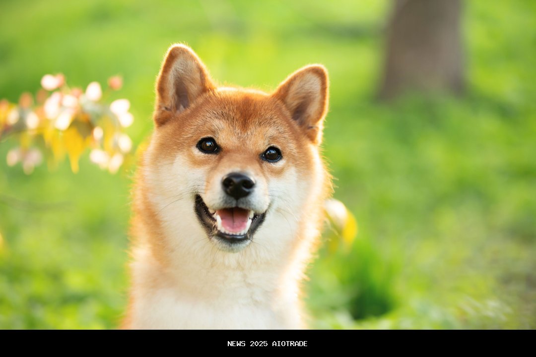 1 Hal yang Harus Diketahui Setiap Investor Tentang Dogecoin (DOGE)
