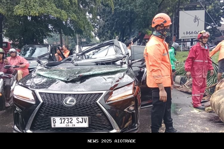 Pengemudi Lexus Tewas Tertimpa Pohon di Pondok Indah