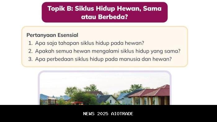 Kunci Jawaban IPA Kelas 3 Halaman 37: Tahapan Siklus Hidup Hewan