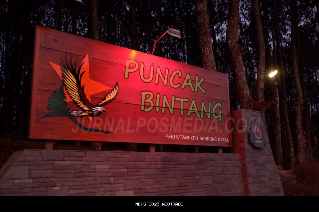 Puncak Bintang, Jalur Lari Menantang di Hutan Pinus Bandung
