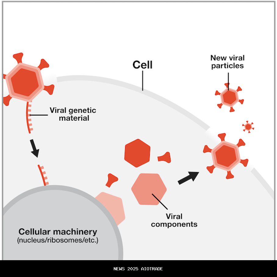 Video Viral Pria Berjenggot Ditangkap di Muna, Sabu Ditemukan di Saku Celana
