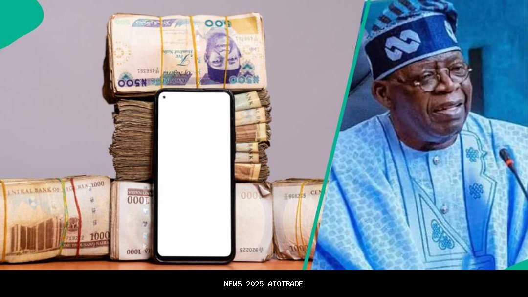 Cara pemuda mengakses pinjaman sebesar ₦5 juta FG: lihat 5 wawasan penting