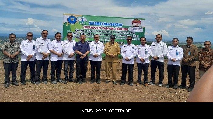 Gerakan Tanam Jagung Bawa Kemakmuran Bireuen