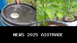 Mengapa Tong Sampah Perlu Dibuka? Jawaban Soal ANBK Kelas 5 SD