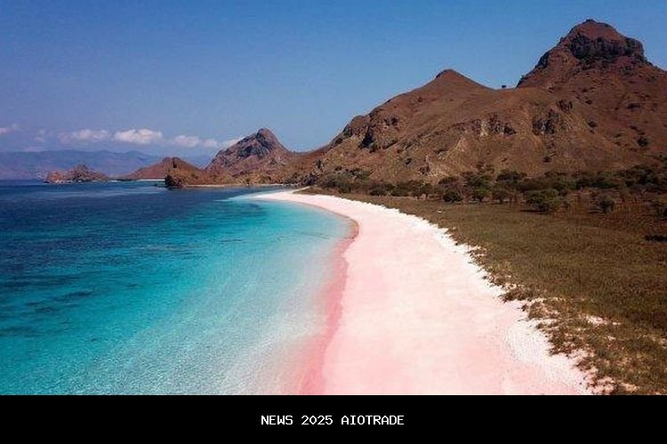 Pink Beach di Pulau Komodo Jadi Pantai Terindah Tahun 2025