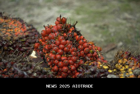 Harga Komoditas Turun: CPO Merosot 1,1 Persen, Nikel dan Timah Stagnan