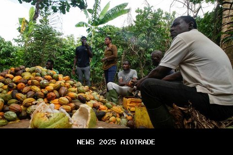 Harga kakao global merosot, mengapa harga cokelat tetap tinggi?