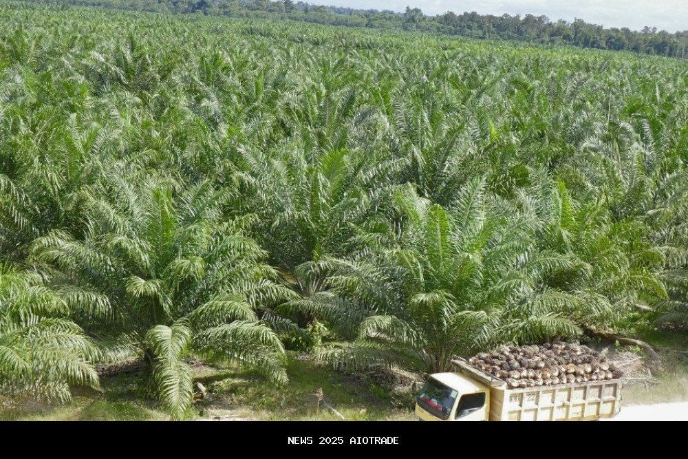 ANJT raih pinjaman BRI Rp4,84 triliun