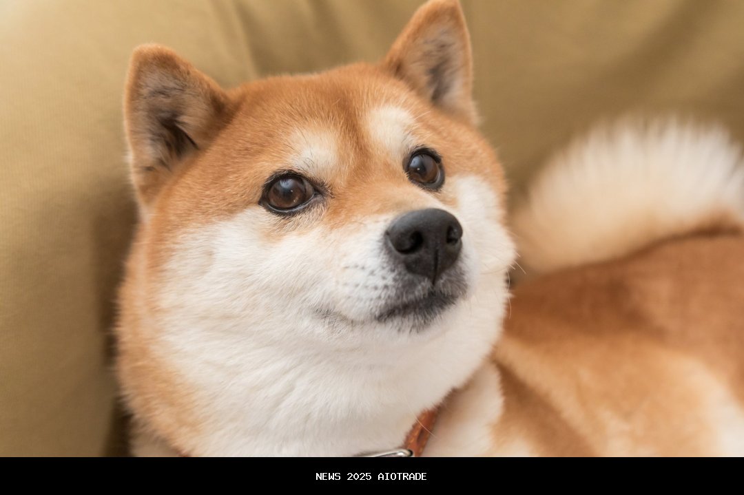 Cryptocurrency Mana yang Lebih Mungkin Menjadi Pembuat Jutawan? Dogecoin vs. Solana