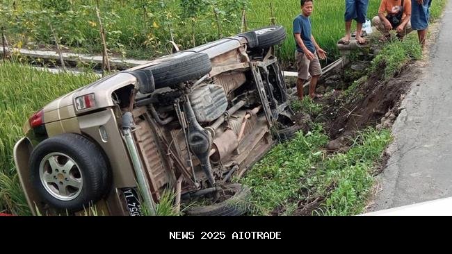 Diduga Karena Mengantuk, Mobil Wisatawan Terguling ke Sawah Pangandaran