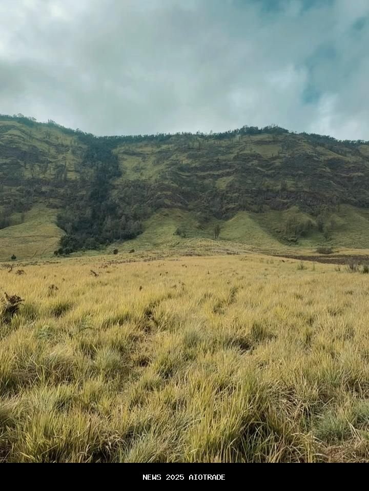 8 Potret Dara Arafah Berlibur Santai di Savana Bromo